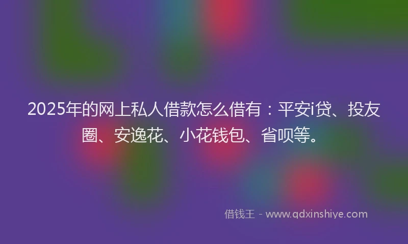 2025年的网上私人借款怎么借有：平安i贷、投友圈、安逸花、小花钱包、省呗等。