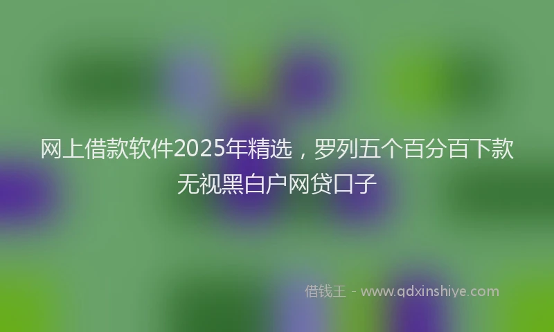 网上借款软件2025年精选，罗列五个百分百下款无视黑白户网贷口子