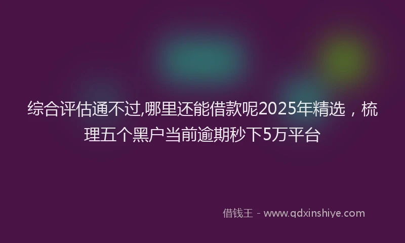 综合评估通不过,哪里还能借款呢2025年精选，梳理五个黑户当前逾期秒下5万平台