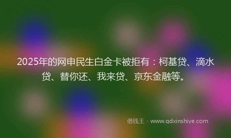 2025年的网申民生白金卡被拒有:柯基贷、滴水贷、替你还、我来贷、京东金融等。