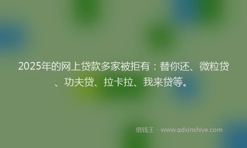 2025年的网上贷款多家被拒有：替你还、微粒贷、功夫贷、拉卡拉、我来贷等。