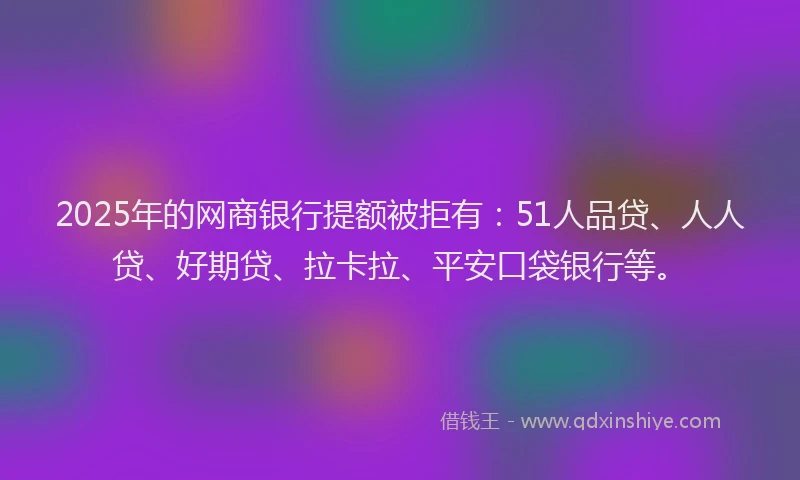 2025年的网商银行提额被拒有：51人品贷、人人贷、好期贷、拉卡拉、平安口袋银行等。