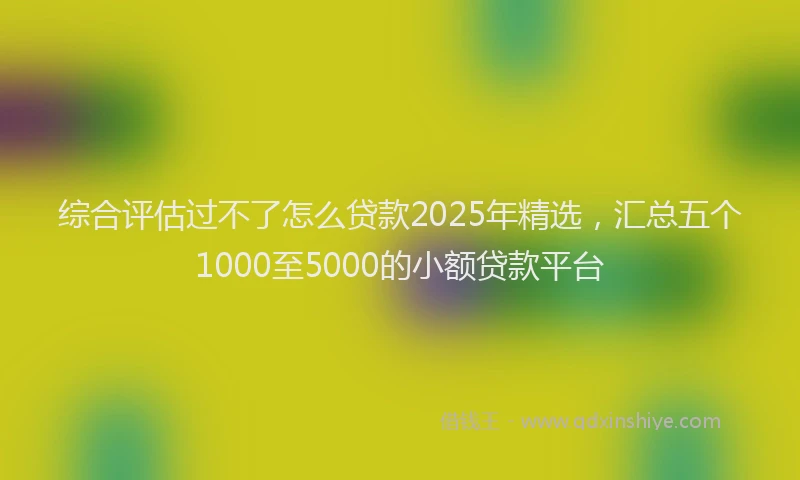 综合评估过不了怎么贷款2025年精选，汇总五个1000至5000的小额贷款平台