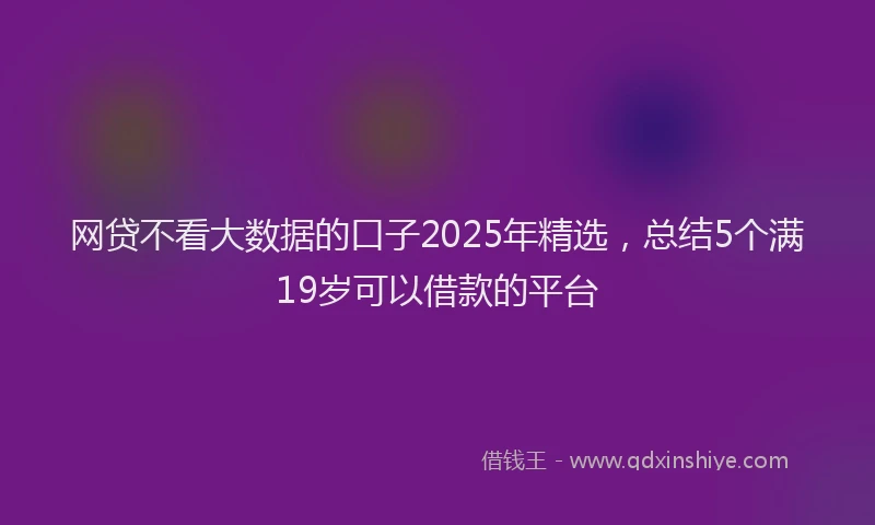 网贷不看大数据的口子2025年精选，总结5个满19岁可以借款的平台