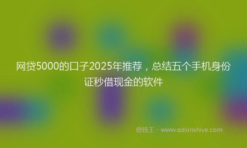 网贷5000的口子2025年推荐，总结五个手机身份证秒借现金的软件
