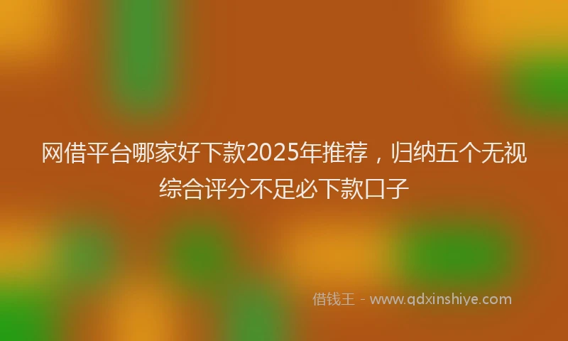 网借平台哪家好下款2025年推荐，归纳五个无视综合评分不足必下款口子