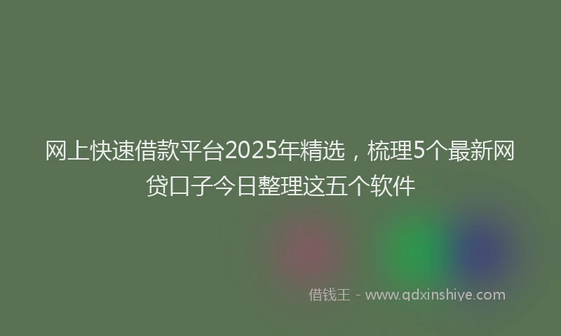 网上快速借款平台2025年精选，梳理5个最新网贷口子今日整理这五个软件