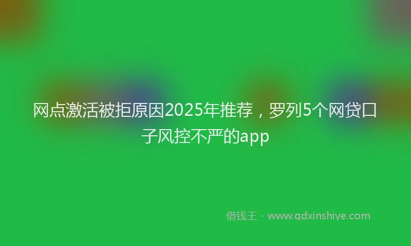 网点激活被拒原因2025年推荐，罗列5个网贷口子风控不严的app