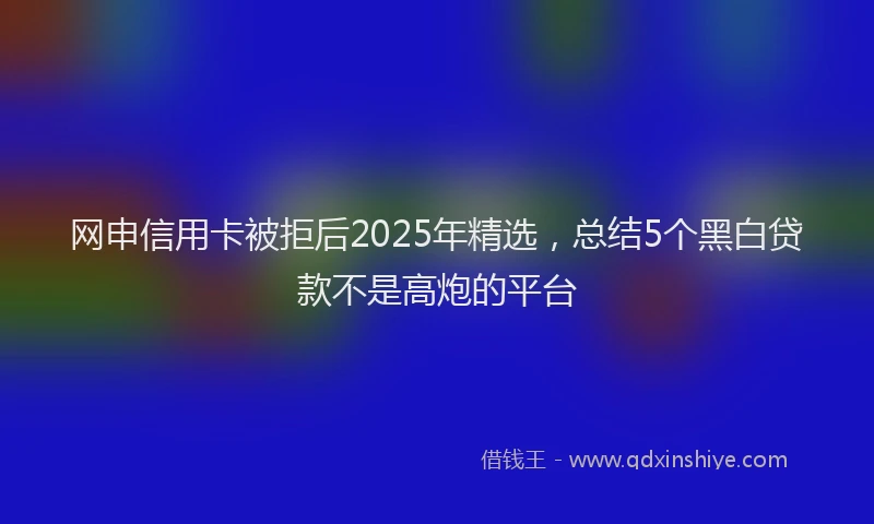网申信用卡被拒后2025年精选,总结5个黑白贷款不是高炮的平台