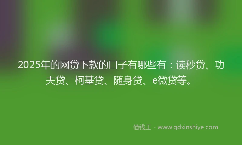2025年的网贷下款的口子有哪些有：读秒贷、功夫贷、柯基贷、随身贷、e微贷等。