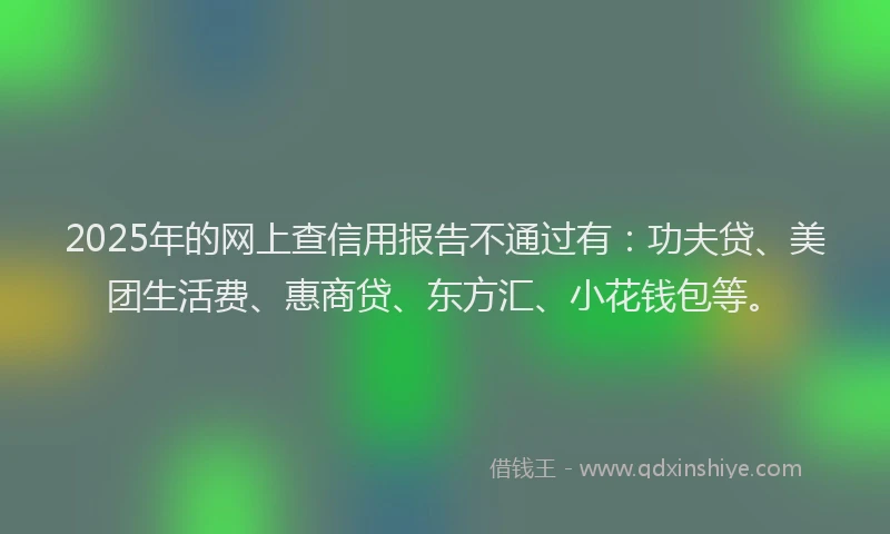 2025年的网上查信用报告不通过有：功夫贷、美团生活费、惠商贷、东方汇、小花钱包等。