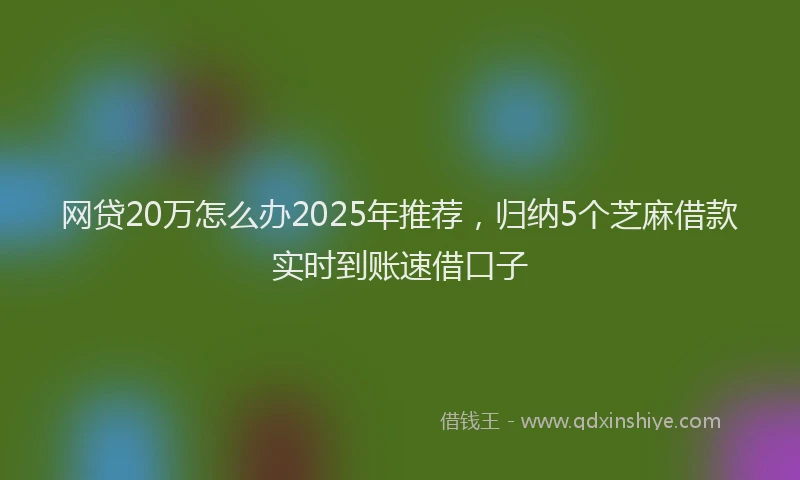 网贷20万怎么办2025年推荐，归纳5个芝麻借款实时到账速借口子