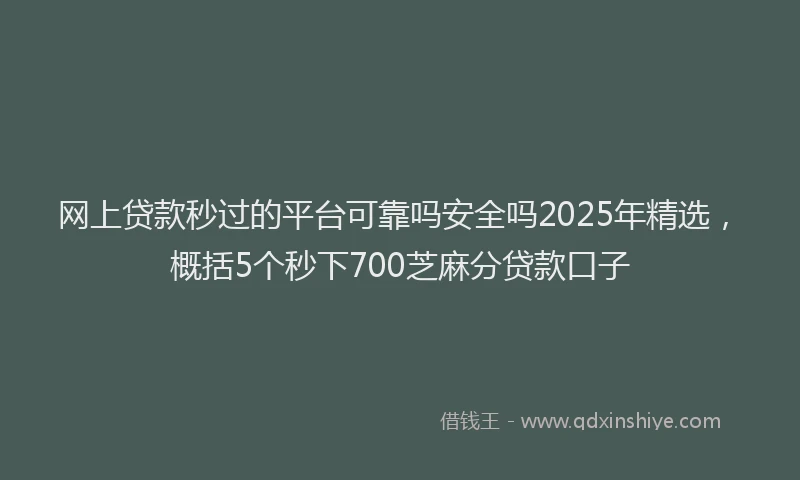 网上贷款秒过的平台可靠吗安全吗2025年精选，概括5个秒下700芝麻分贷款口子