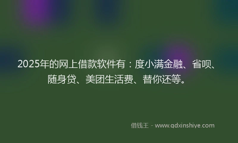 2025年的网上借款软件有：度小满金融、省呗、随身贷、美团生活费、替你还等。