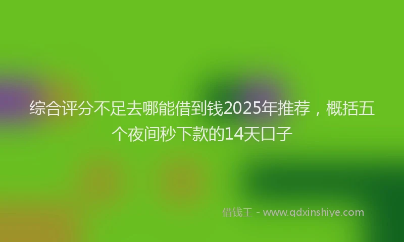 综合评分不足去哪能借到钱2025年推荐，概括五个夜间秒下款的14天口子