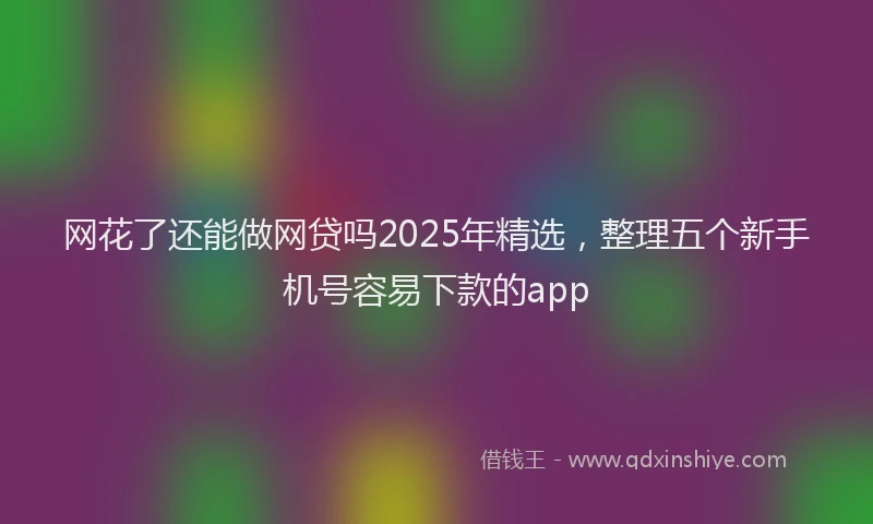 网花了还能做网贷吗2025年精选，整理五个新手机号容易下款的app