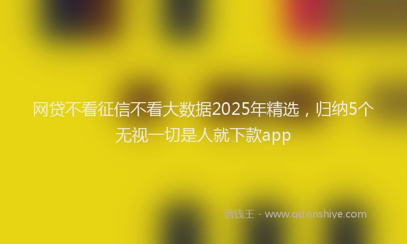 网贷不看征信不看大数据2025年精选，归纳5个无视一切是人就下款app