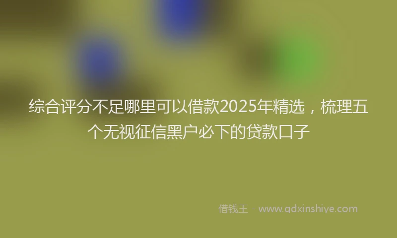 综合评分不足哪里可以借款2025年精选，梳理五个无视征信黑户必下的贷款口子