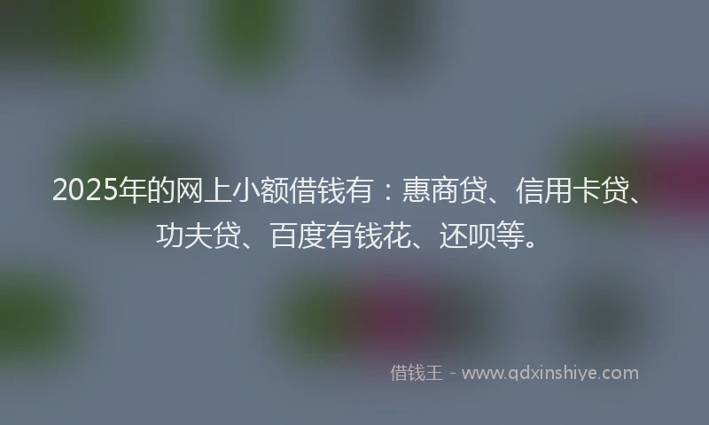 2025年的网上小额借钱有：惠商贷、信用卡贷、功夫贷、百度有钱花、还呗等。
