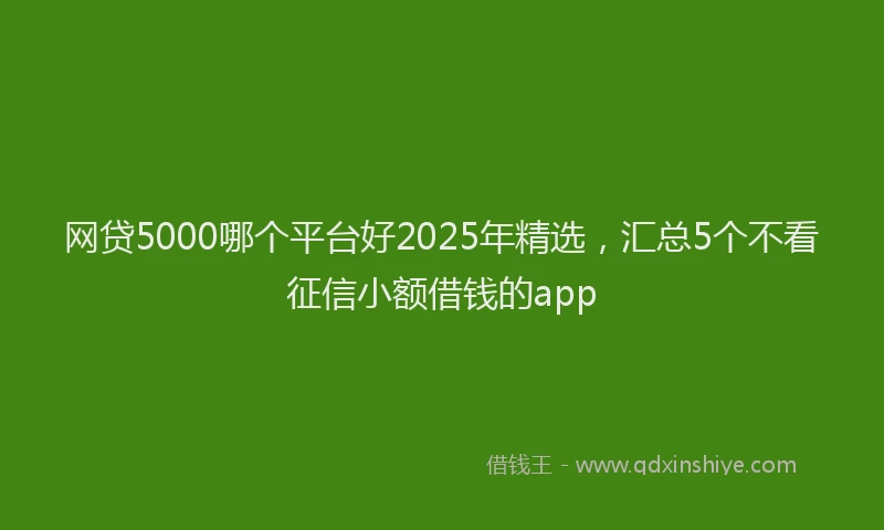 网贷5000哪个平台好2025年精选，汇总5个不看征信小额借钱的app