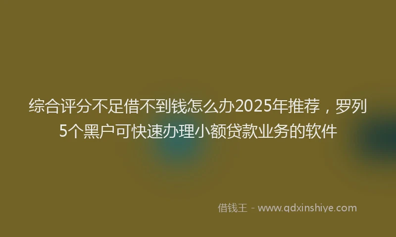 综合评分不足借不到钱怎么办2025年推荐，罗列5个黑户可快速办理小额贷款业务的软件