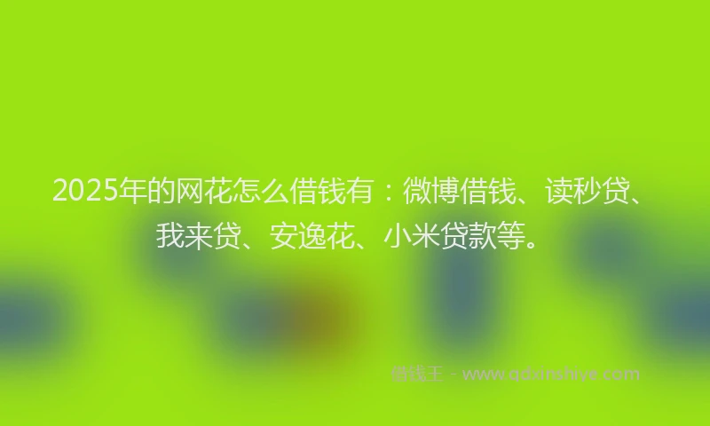2025年的网花怎么借钱有：微博借钱、读秒贷、我来贷、安逸花、小米贷款等。