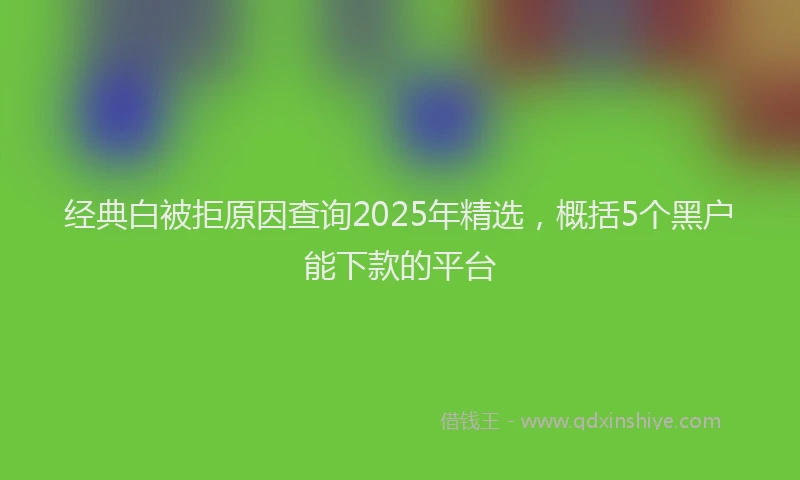经典白被拒原因查询2025年精选，概括5个黑户能下款的平台