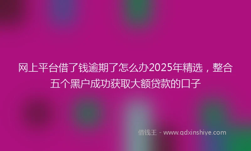 网上平台借了钱逾期了怎么办2025年精选，整合五个黑户成功获取大额贷款的口子