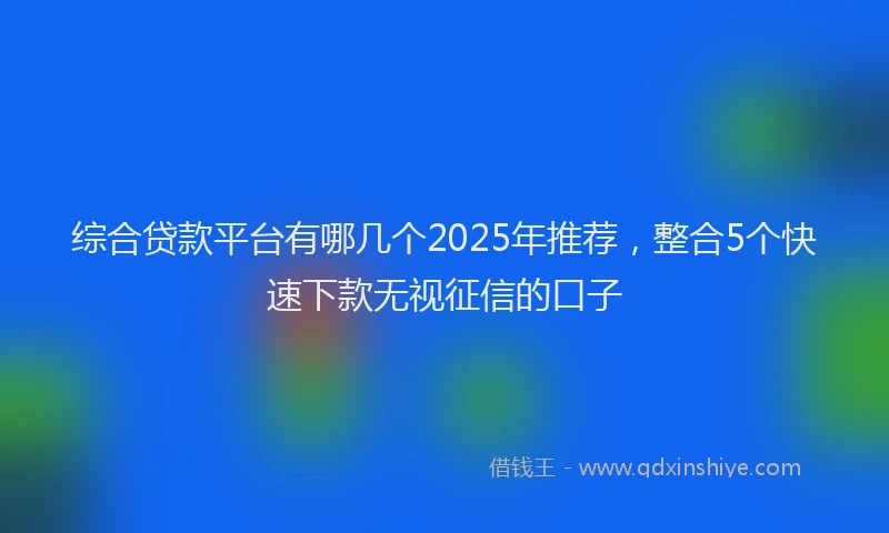 综合贷款平台有哪几个2025年推荐，整合5个快速下款无视征信的口子