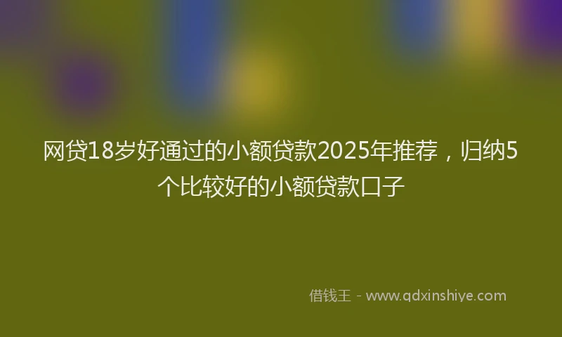 网贷18岁好通过的小额贷款2025年推荐，归纳5个比较好的小额贷款口子