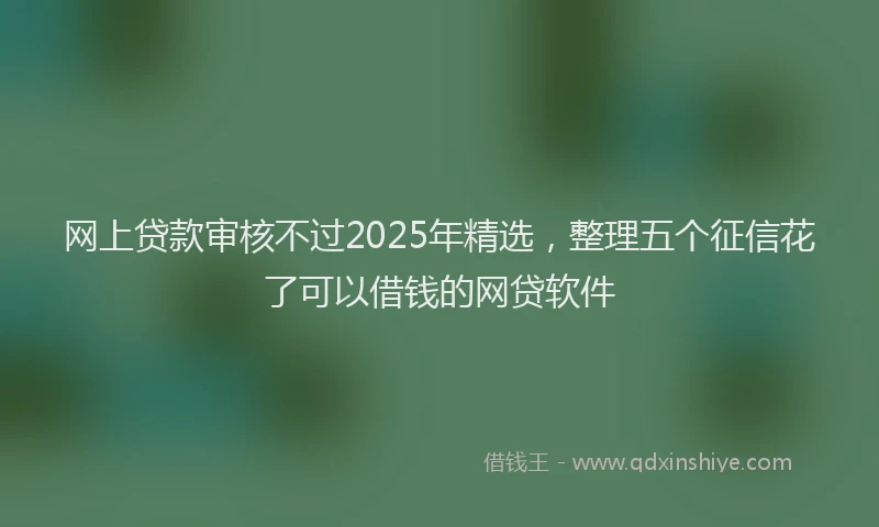 网上贷款审核不过2025年精选，整理五个征信花了可以借钱的网贷软件