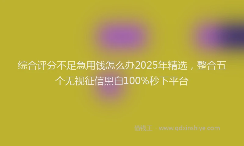 综合评分不足急用钱怎么办2025年精选，整合五个无视征信黑白100%秒下平台