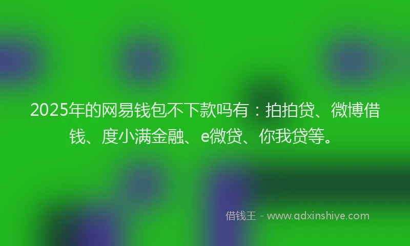 2025年的网易钱包不下款吗有：拍拍贷、微博借钱、度小满金融、e微贷、你我贷等。