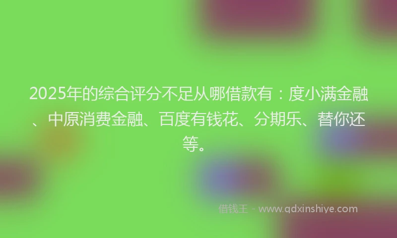 2025年的综合评分不足从哪借款有：度小满金融、中原消费金融、百度有钱花、分期乐、替你还等。