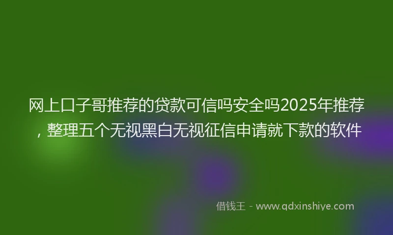 网上口子哥推荐的贷款可信吗安全吗2025年推荐，整理五个无视黑白无视征信申请就下款的软件