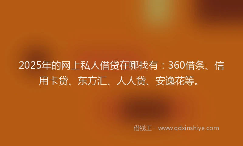 2025年的网上私人借贷在哪找有：360借条、信用卡贷、东方汇、人人贷、安逸花等。