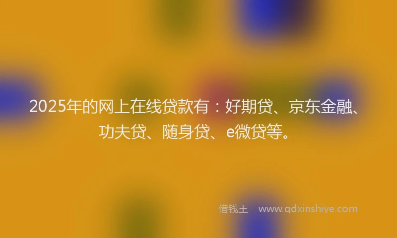 2025年的网上在线贷款有：好期贷、京东金融、功夫贷、随身贷、e微贷等。