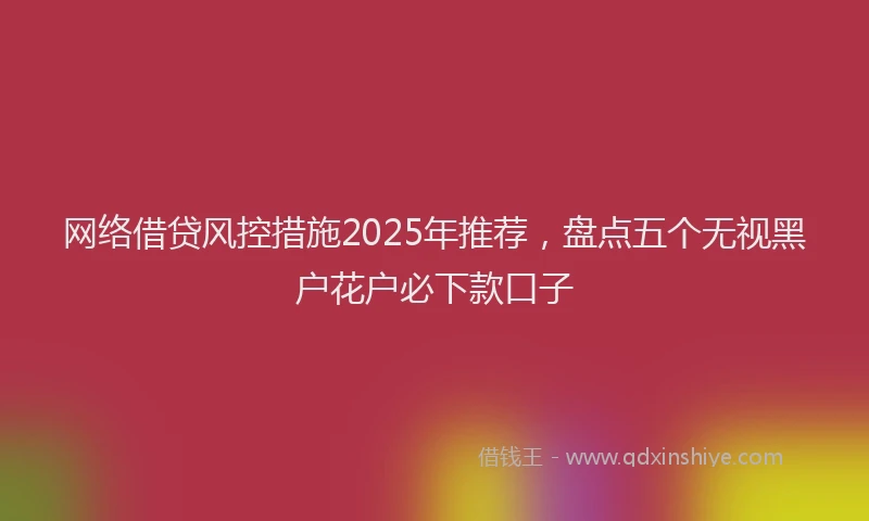网络借贷风控措施2025年推荐，盘点五个无视黑户花户必下款口子