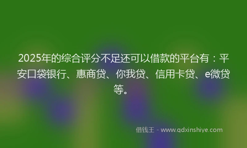 2025年的综合评分不足还可以借款的平台有：平安口袋银行、惠商贷、你我贷、信用卡贷、e微贷等。