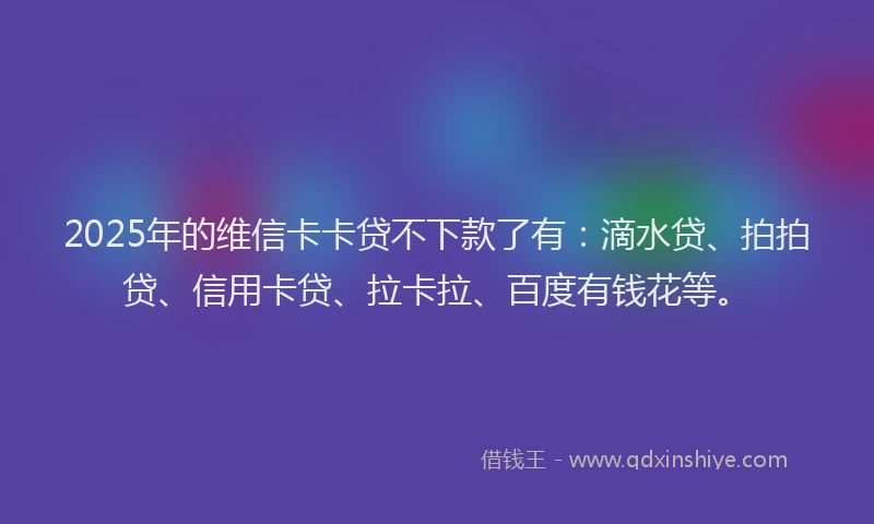 2025年的维信卡卡贷不下款了有：滴水贷、拍拍贷、信用卡贷、拉卡拉、百度有钱花等。