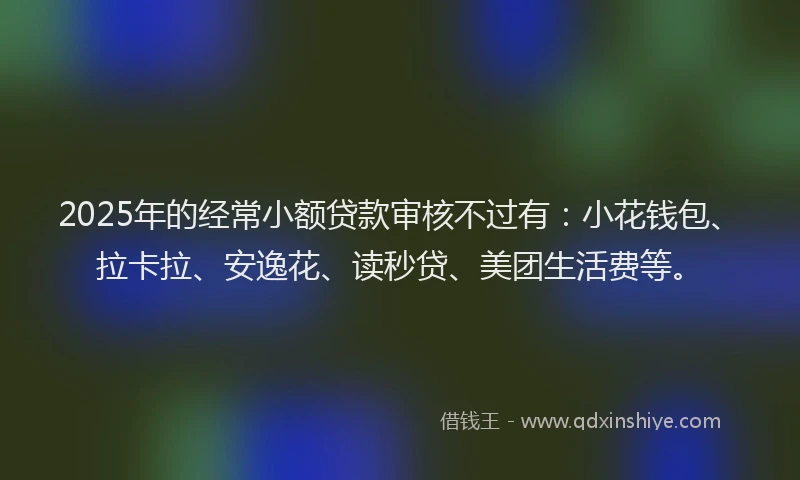 2025年的经常小额贷款审核不过有：小花钱包、拉卡拉、安逸花、读秒贷、美团生活费等。
