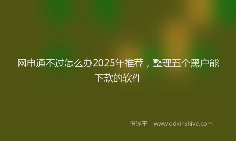网申通不过怎么办2025年推荐，整理五个黑户能下款的软件