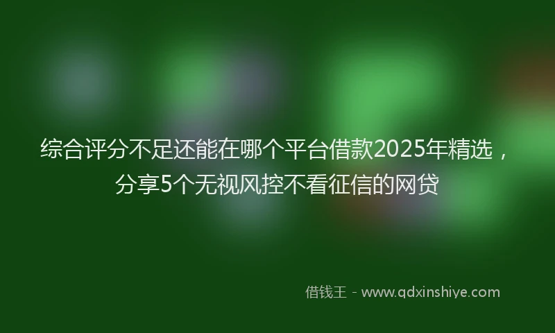 综合评分不足还能在哪个平台借款2025年精选，分享5个无视风控不看征信的网贷