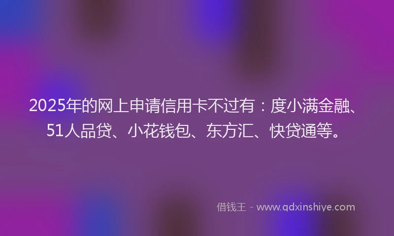 2025年的网上申请信用卡不过有：度小满金融、51人品贷、小花钱包、东方汇、快贷通等。