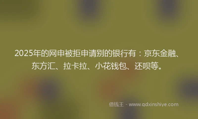 2025年的网申被拒申请别的银行有：京东金融、东方汇、拉卡拉、小花钱包、还呗等。