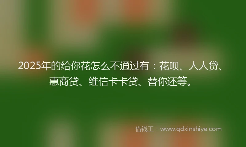 2025年的给你花怎么不通过有：花呗、人人贷、惠商贷、维信卡卡贷、替你还等。