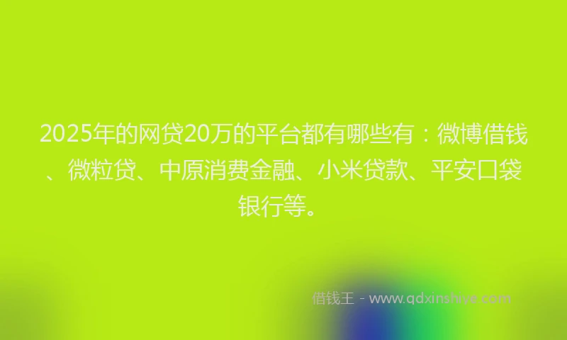 2025年的网贷20万的平台都有哪些有：微博借钱、微粒贷、中原消费金融、小米贷款、平安口袋银行等。