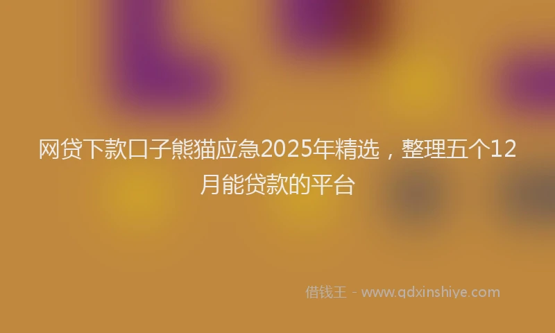 网贷下款口子熊猫应急2025年精选，整理五个12月能贷款的平台