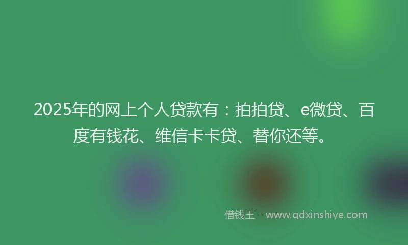 2025年的网上个人贷款有：拍拍贷、e微贷、百度有钱花、维信卡卡贷、替你还等。