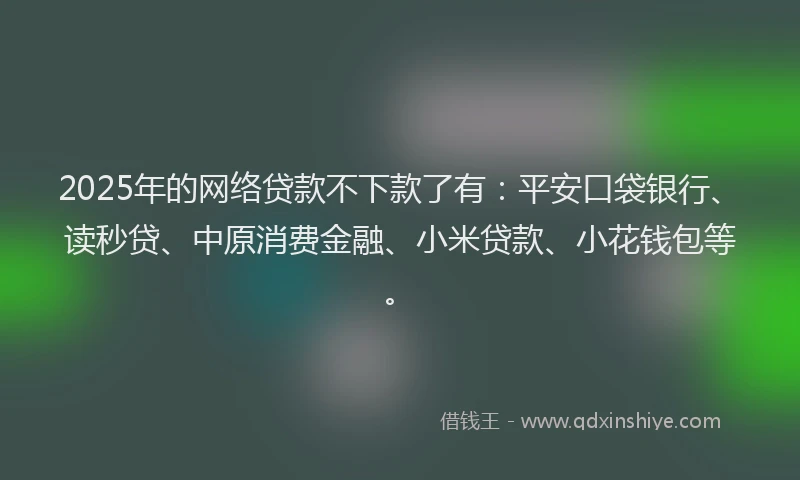 2025年的网络贷款不下款了有：平安口袋银行、读秒贷、中原消费金融、小米贷款、小花钱包等。